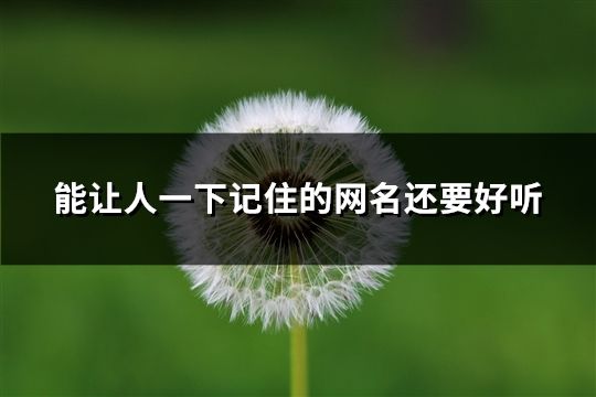 能讓人一下記住的網(wǎng)名還要好聽(36個) 能讓人一下記住的網(wǎng)名還要好聽(36個)