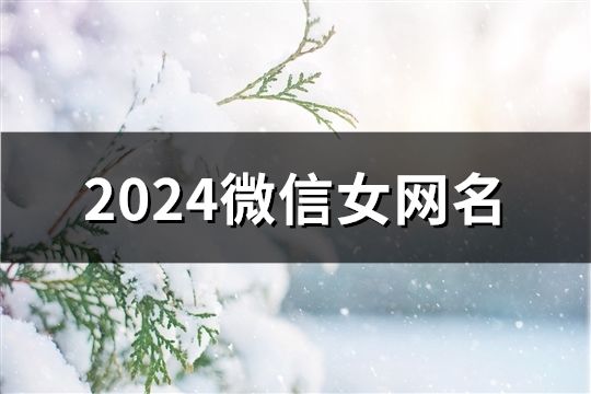 2024微信女網(wǎng)名(1289個)
