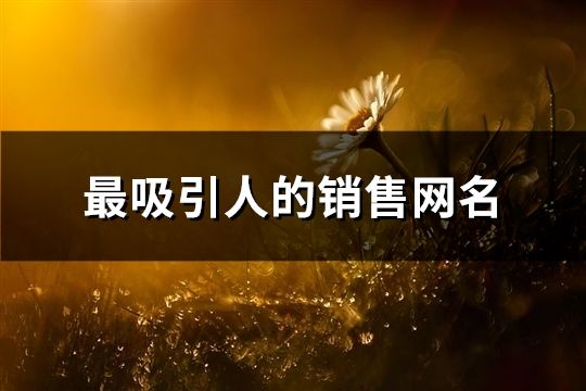 最吸引人的銷售網(wǎng)名(精選131個)