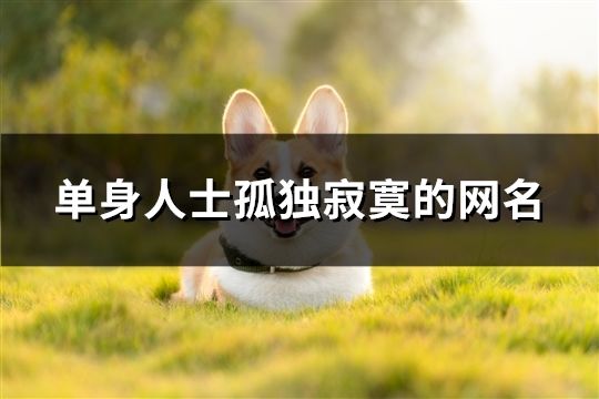 單身人士孤獨(dú)寂寞的網(wǎng)名(共923個(gè))