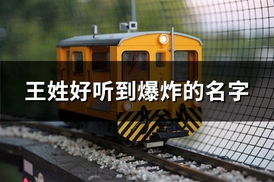 王姓好聽到爆炸的名字(543個(gè))