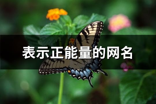 表示正能量的網名(精選385個)