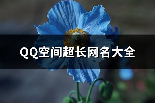 QQ空間超長網名大全(1303個)