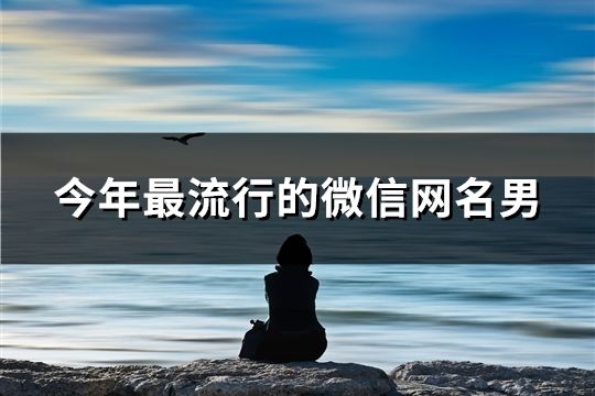 今年最流行的微信網(wǎng)名男(精選178個)